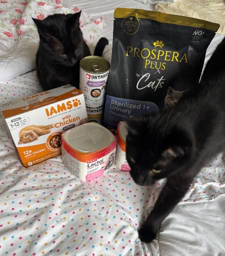 Kouzelná Elvíra z.s.